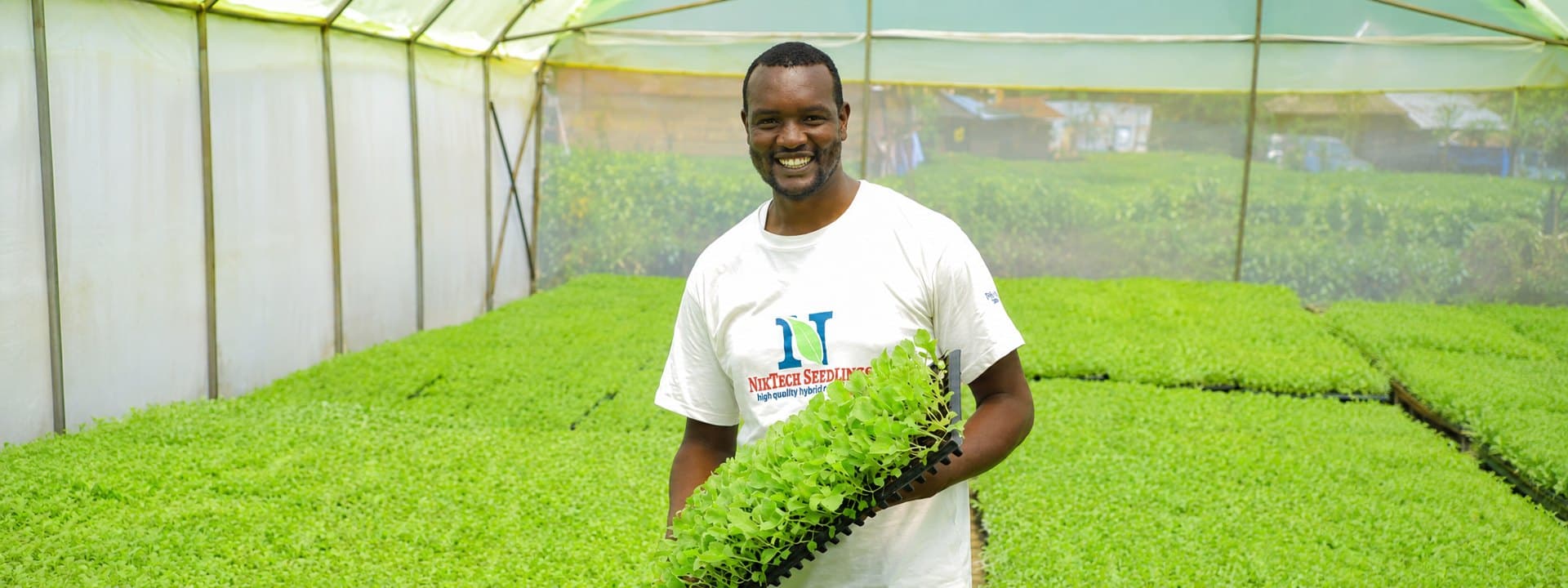 Nick Otiso holding a tray of seedlings inside a NikTech propagation greenhouse